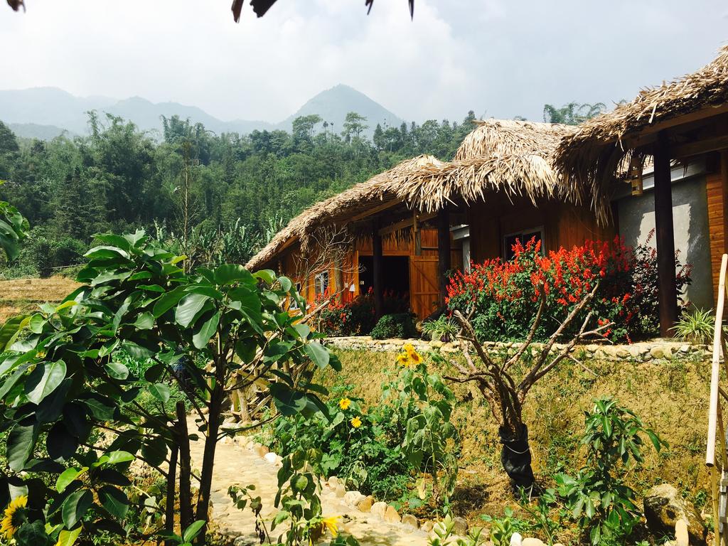 Top 20 Homestay Sapa Lào Cai giá rẻ view đẹp gần trung tâm chợ đêm