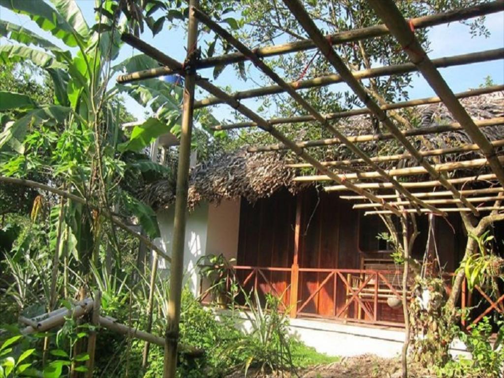 Top 10 homestay Bến Tre giá rẻ decor đẹp đậm chất sông nước miệt vườn