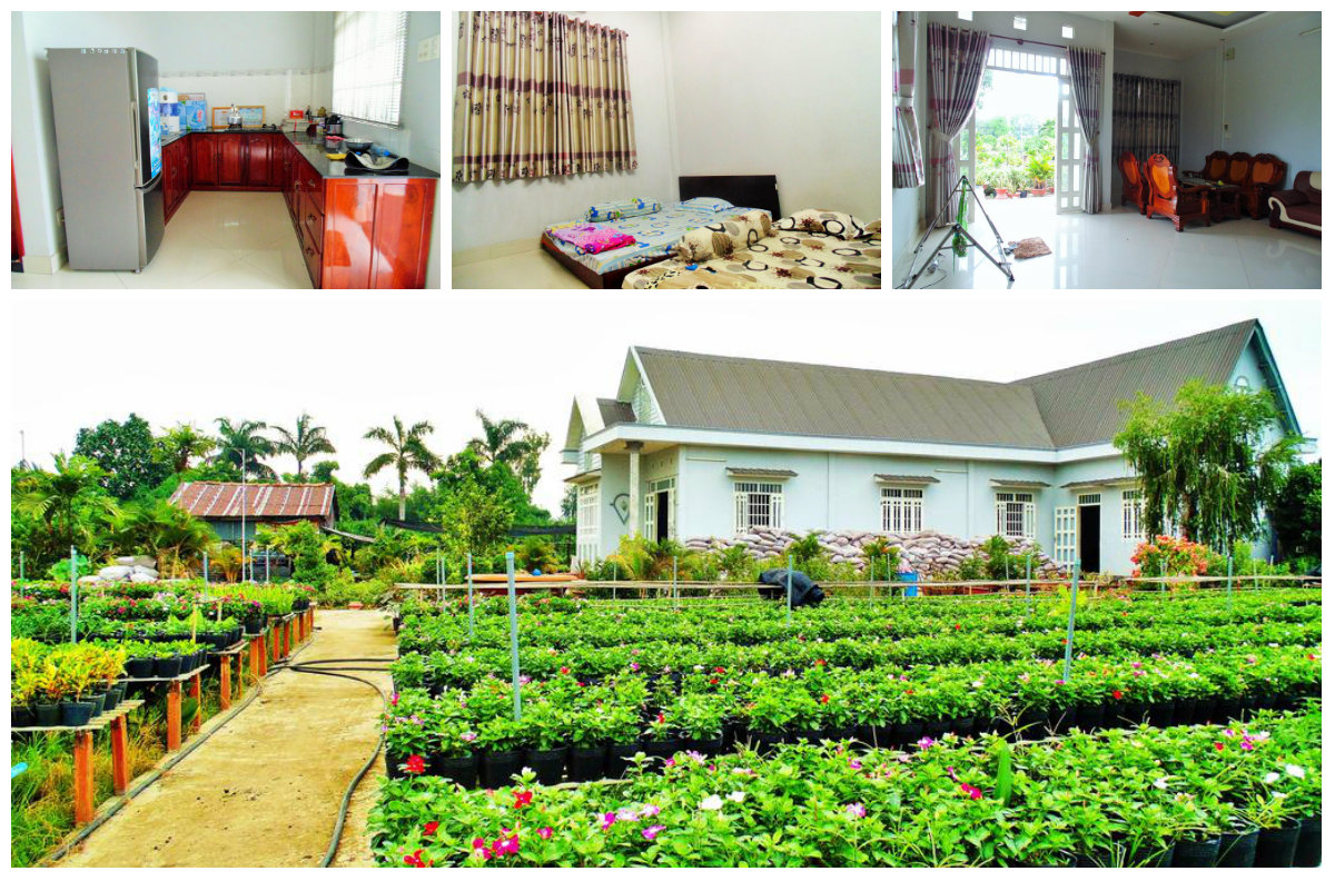 Top 15 homestay miền Tây giá rẻ view đẹp đậm chất miền sông nước