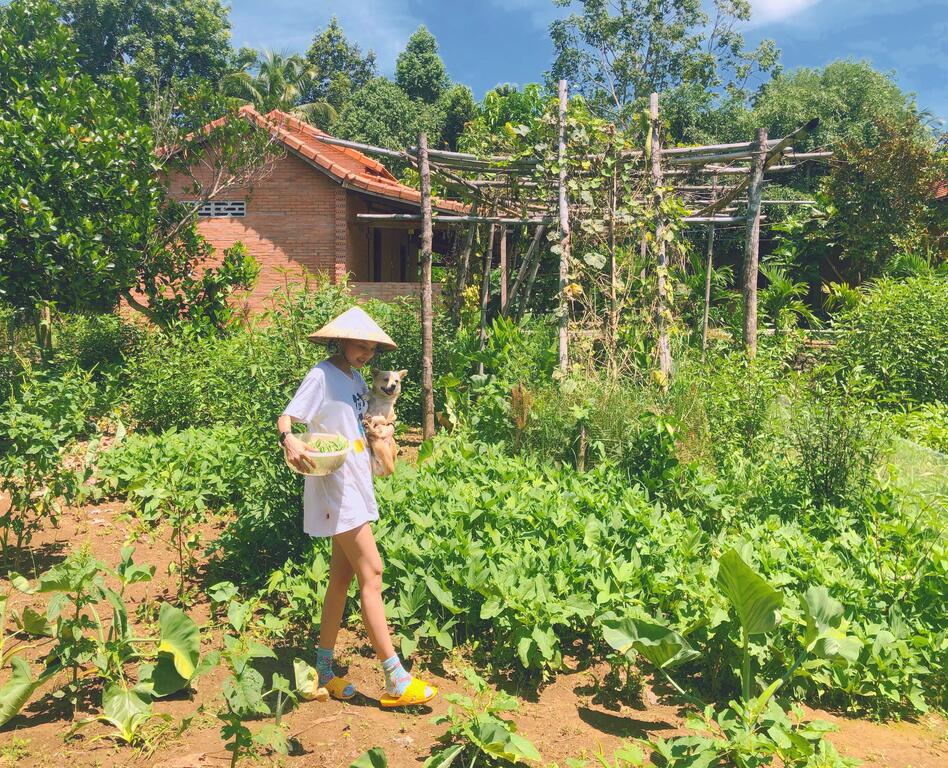 Top 10 Homestay Đồng Nai: khu vực Biên Hòa, Nam Cát Tiên, Long Khánh