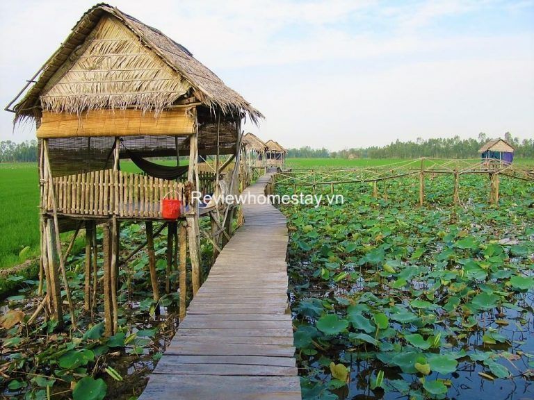 Top 8 Homestay Long An giá rẻ view đẹp ở ngay trung tâm tốt nhất